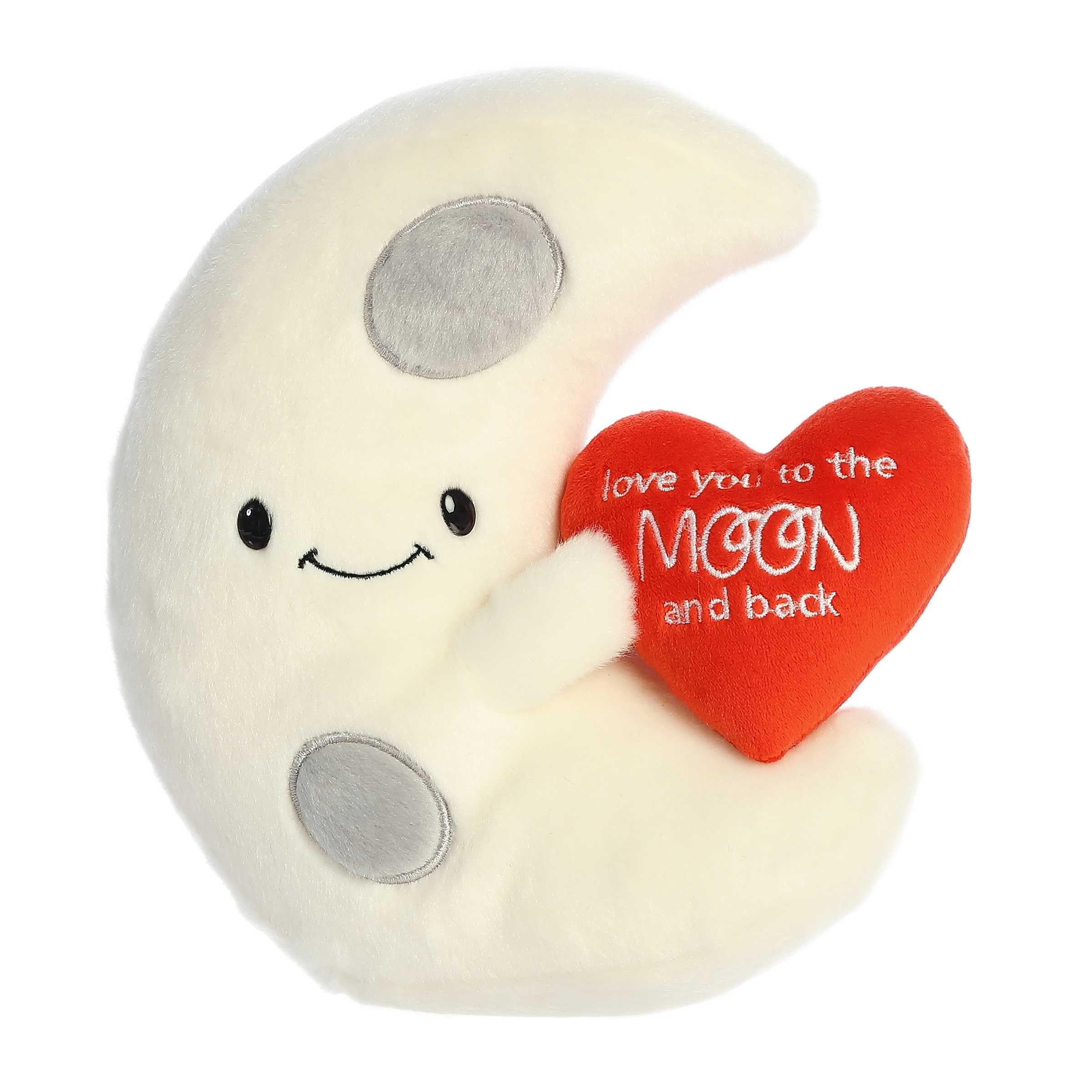 Amazon.com: Aurora® Witty JUST Sayin'™ Love You to The Moon and